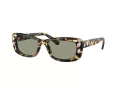 Swarovski SK 6008 1009/2 54 Women sunglasses
