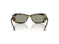Swarovski SK 6008 1009/2 54 Women sunglasses