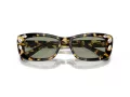 Swarovski SK 6008 1009/2 54 Women sunglasses