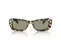 Swarovski SK 6008 1009/2 54 Women sunglasses
