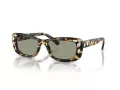 Swarovski SK 6008 1009/2 54 Women sunglasses