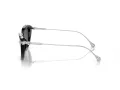 Swarovski SK 6010 103887 53 Women sunglasses