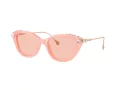 Swarovski SK 6010 1041/5 53 Women sunglasses