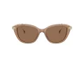 Swarovski SK 6010 2002OK 53 Women sunglasses