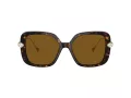 Swarovski SK 6011 100283 55 Women sunglasses