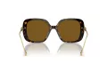 Swarovski SK 6011 100283 55 Women sunglasses