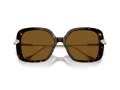 Swarovski SK 6011 100283 55 Women sunglasses