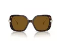Swarovski SK 6011 100283 55 Women sunglasses