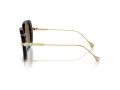 Swarovski SK 6011 100283 55 Women sunglasses