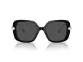 Swarovski SK 6011 103887 55 Women sunglasses