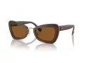 Swarovski SK 6012 101173 52 Women sunglasses
