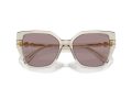 Swarovski SK 6016 3003LA 56 Women sunglasses