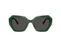 Swarovski SK 6017 104587 56 Women sunglasses