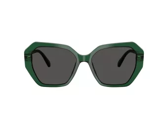 Swarovski SK 6017 104587 56 Women sunglasses