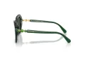 Swarovski SK 6017 104587 56 Women sunglasses