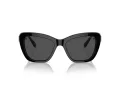 Swarovski SK 6018 100187 52 Women sunglasses