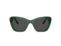 Swarovski SK 6018 104587 52 Women sunglasses