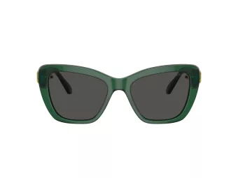 Swarovski SK 6018 104587 52 Women sunglasses