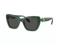 Swarovski SK 6018 104587 52 Women sunglasses