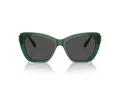 Swarovski SK 6018 104587 52 Women sunglasses