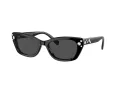 Swarovski SK 6019 100187 54 Women sunglasses