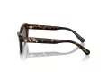 Swarovski SK 6019 100273 54 Women sunglasses