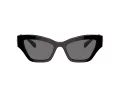 Swarovski SK 6021 100181 53 Women sunglasses