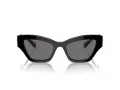 Swarovski SK 6021 100181 53 Women sunglasses