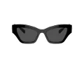Swarovski SK 6021 100187 53 Women sunglasses