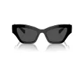 Swarovski SK 6021 100187 53 Women sunglasses