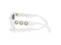 Swarovski SK 6021 105087 53 Women sunglasses