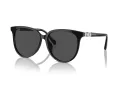 Swarovski SK 6023D 100187 56 Women sunglasses