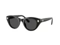 Swarovski SK 6025 100187 47 Women sunglasses