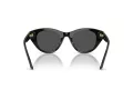 Swarovski SK 6025 100187 47 Women sunglasses
