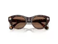 Swarovski SK 6025 100273 47 Women sunglasses