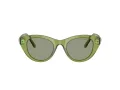 Swarovski SK 6025 3002/2 47 Women sunglasses