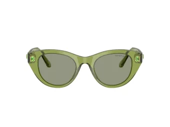 Swarovski SK 6025 3002/2 47 Women sunglasses