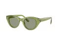Swarovski SK 6025 3002/2 47 Women sunglasses