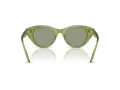 Swarovski SK 6025 3002/2 47 Women sunglasses
