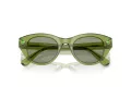 Swarovski SK 6025 3002/2 47 Women sunglasses
