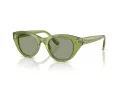 Swarovski SK 6025 3002/2 47 Women sunglasses
