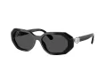 Swarovski SK 6028 100187 54 Women sunglasses