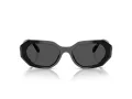 Swarovski SK 6028 100187 54 Women sunglasses