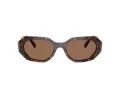 Swarovski SK 6028 100273 54 Women sunglasses
