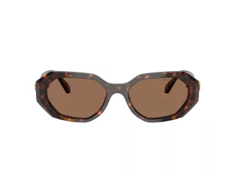 Swarovski SK 6028 100273 54 Women sunglasses