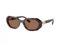Swarovski SK 6028 100273 54 Women sunglasses