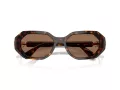 Swarovski SK 6028 100273 54 Women sunglasses