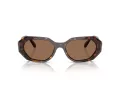 Swarovski SK 6028 100273 54 Women sunglasses