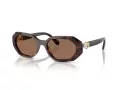 Swarovski SK 6028 100273 54 Women sunglasses