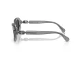 Swarovski SK 6028 10626G 54 Women sunglasses